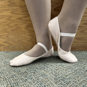 Bloch Ballet Shoe