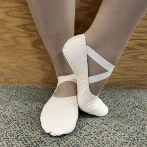 SoDanca Ballet Shoe
